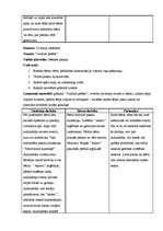 Prakses atskaite 'Vērošanas un aktīvā mācību prakse PII', 14.