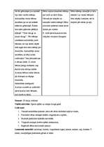 Prakses atskaite 'Vērošanas un aktīvā mācību prakse PII', 16.