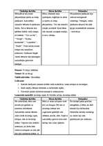 Prakses atskaite 'Vērošanas un aktīvā mācību prakse PII', 17.