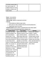 Prakses atskaite 'Vērošanas un aktīvā mācību prakse PII', 18.