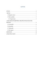 Konspekts 'Testēšanas plāns - vairumtirdzniecības uzņēmuma uzskaites sistēma', 2.