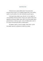 Konspekts 'Testēšanas plāns - vairumtirdzniecības uzņēmuma uzskaites sistēma', 16.