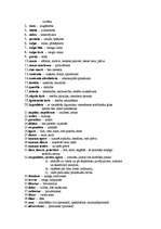 Konspekts 'Juridiskie termini latīņu valodā', 2.