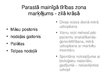 Prezentācija 'Epidemioloģiskais plāns terapijas nodaļā', 3.