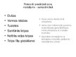 Prezentācija 'Epidemioloģiskais plāns terapijas nodaļā', 5.