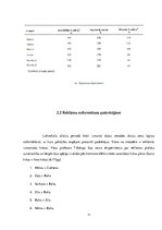 Referāts 'Lielveikalu akciju kampaņas ietekme uz patērētāju pirkšanas paradumiem', 11.