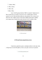 Referāts 'Lielveikalu akciju kampaņas ietekme uz patērētāju pirkšanas paradumiem', 12.