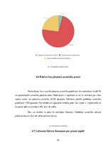 Referāts 'Lielveikalu akciju kampaņas ietekme uz patērētāju pirkšanas paradumiem', 24.