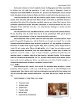 Referāts 'Piļu un muižu piemērošana viesmībības vajadzībām', 7.