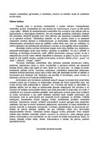 Referāts 'Mūsdienu totēmisms', 5.