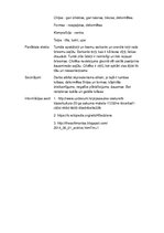 Konspekts 'Gleznu analīze', 2.