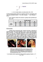 Konspekts 'Starplokusu mijiedarbības veidi', 2.