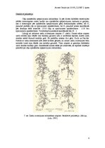 Konspekts 'Starplokusu mijiedarbības veidi', 6.