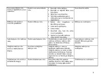 Prakses atskaite 'Aprūpes plāns', 8.