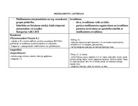 Prakses atskaite 'Aprūpes plāns', 10.