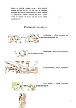 Prezentācija 'Rīgas pilsētas Imantas apkaimes apbūves plānošanas formas un funkcionālais zonēj', 7.