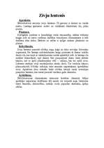 Referāts 'Lenteņu klase', 2.