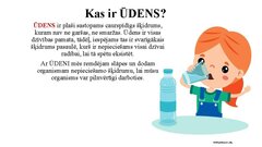 Prezentācija 'Pirmskolas izglītība', 8.