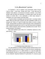 Referāts 'Mārketinga plānošana', 4.