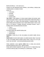 Konspekts 'Budžets, regresīvais nodoklis', 1.