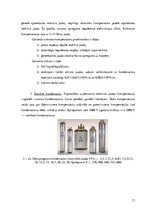 Referāts 'Sinhronie kompensātori un citas reaktīvas jaudas kompensēšanas iekārtas', 13.