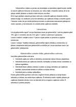 Referāts 'Grāmatvedības profesija mūsdienās', 3.