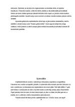 Referāts 'Grāmatvedības profesija mūsdienās', 16.