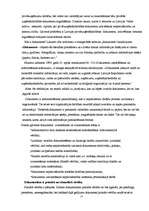 Referāts 'Grāmatvedības profesija mūsdienās', 17.