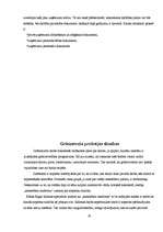 Referāts 'Grāmatvedības profesija mūsdienās', 20.