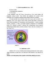 Referāts 'Pieaugušo un jauniešu attieksme pret HIV/AIDS inficētajiem', 5.