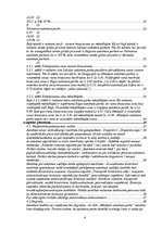 Prakses atskaite 'Prakses atskaite', 4.