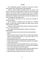 Prakses atskaite 'Prakses atskaite', 10.