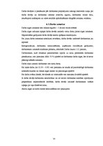 Prakses atskaite 'Prakses atskaite', 32.