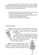 Referāts 'Senā muzicēšana mūsdienās', 15.