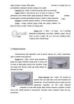 Referāts 'Senā muzicēšana mūsdienās', 16.