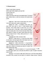 Referāts 'Senā muzicēšana mūsdienās', 17.