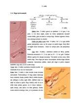 Referāts 'Senā muzicēšana mūsdienās', 19.