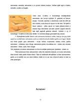 Referāts 'Senā muzicēšana mūsdienās', 20.