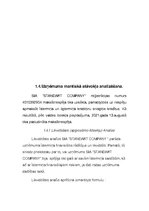 Referāts 'Firmas analīze (daļēja)', 10.