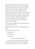 Referāts 'Firmas analīze (daļēja)', 17.