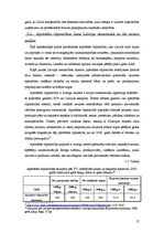 Referāts 'Rūpniecības nozares analīze un attīstības perspektīvas Latvijā', 17.