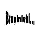 Referāts 'Bruņinieki', 1.