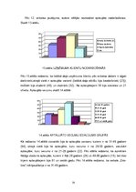 Diplomdarbs 'Elektroniskā komercija. Tās attīstības iespējas uzņēmumā "Rēnijs"', 31.