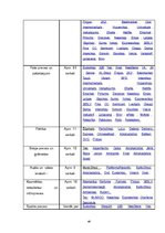 Diplomdarbs 'Elektroniskā komercija. Tās attīstības iespējas uzņēmumā "Rēnijs"', 45.