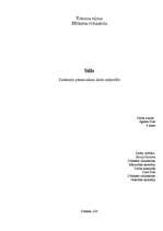 Referāts 'Stils', 1.