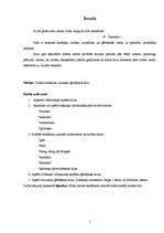 Referāts 'Stils', 5.