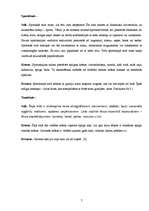 Referāts 'Stils', 7.