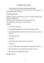 Referāts 'Stils', 8.