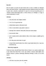 Referāts 'Stils', 10.