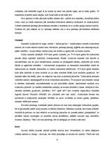 Referāts 'Stils', 16.